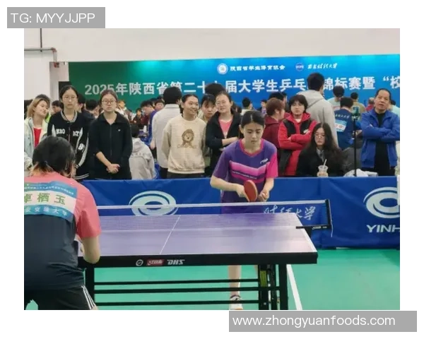 西安乒乓球队在全国耐力排行榜中荣获第八名的辉煌成就